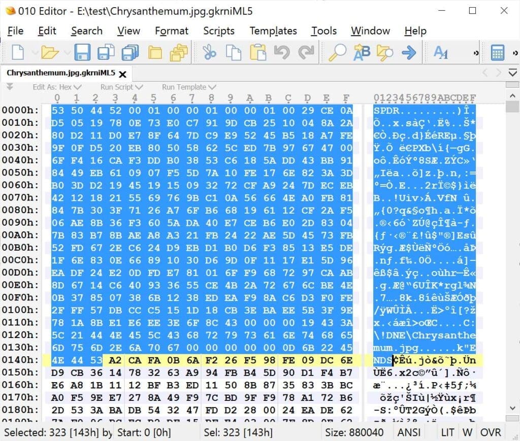 Encrypted file opened in a hex editor with random bytes replacing the original data, illustrating what ransomware looks like on a system hit by a ransomware attack triggered by a phishing email.